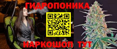 дмт Заводоуковск