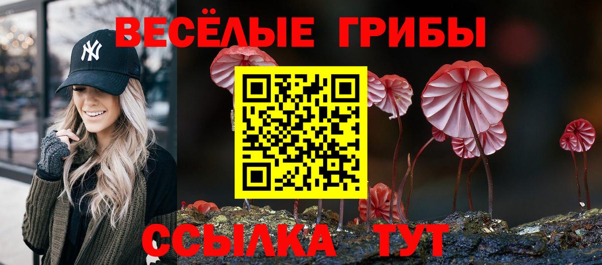 Псилоцибиновые грибы Cubensis Георгиевск