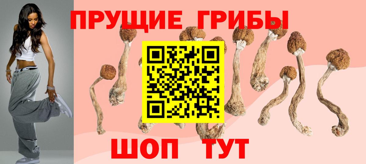 Псилоцибиновые грибы MAGIC MUSHROOMS  Вход с VPN  Георгиевск 